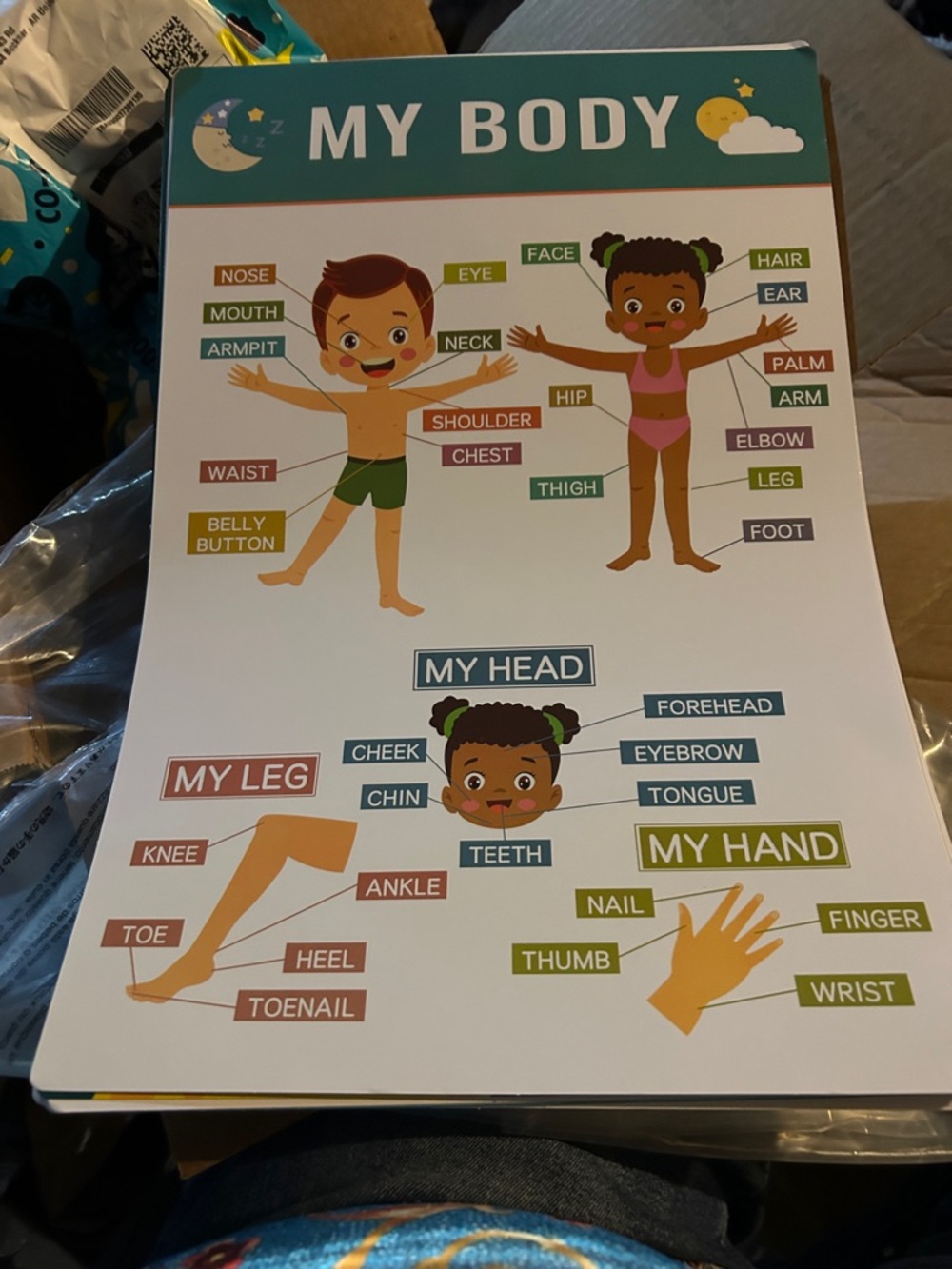 My Body Educational Wall Chart for Kids - Colorful Anatomy Poster